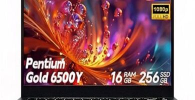 14-inch SHBIV laptop, ultra-slim design, open on wooden desk with green plant.